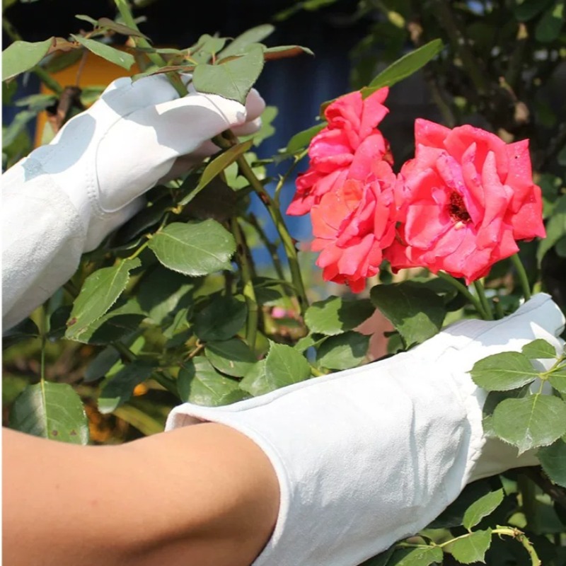 A Pair of Garden Gloves Thorn  - Gardening Glove Waterproof recension och pris